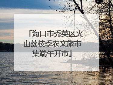 海口市秀英区火山荔枝季农文旅市集端午开市