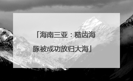 海南三亚：糙齿海豚被成功放归大海
