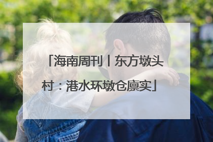 海南周刊丨东方墩头村：港水环墩仓廪实