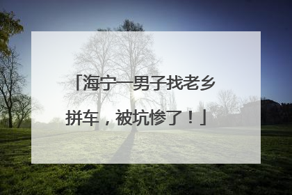 海宁一男子找老乡拼车，被坑惨了！