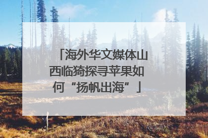 海外华文媒体山西临猗探寻苹果如何“扬帆出海”