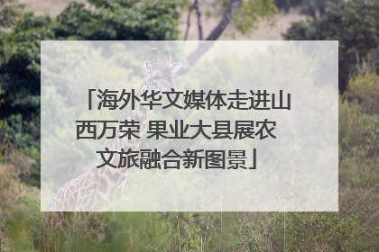 海外华文媒体走进山西万荣 果业大县展农文旅融合新图景