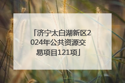 济宁太白湖新区2024年公共资源交易项目121项