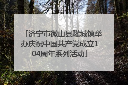 济宁市微山县驩城镇举办庆祝中国共产党成立104周年系列活动