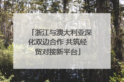 浙江与澳大利亚深化双边合作 共筑经贸对接新平台