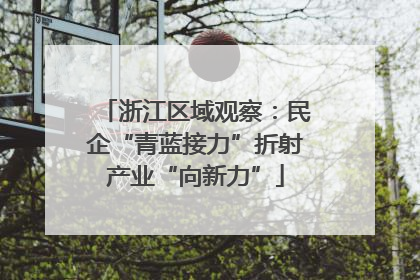 浙江区域观察：民企“青蓝接力”折射产业“向新力”