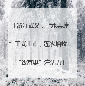 浙江武义：“水果莲”正式上市，莲农增收“致富果”注活力