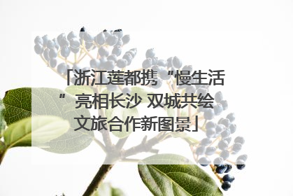 浙江莲都携“慢生活”亮相长沙 双城共绘文旅合作新图景
