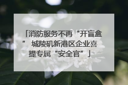 消防服务不再“开盲盒” 城陵矶新港区企业喜提专属“安全官”