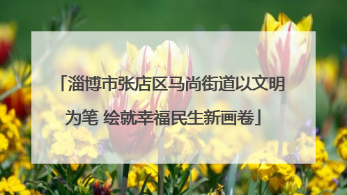 淄博市张店区马尚街道以文明为笔 绘就幸福民生新画卷