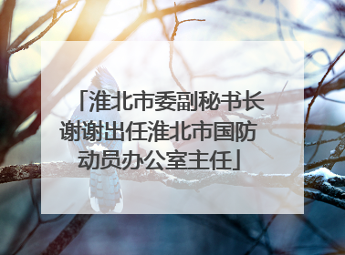 淮北市委副秘书长谢谢出任淮北市国防动员办公室主任