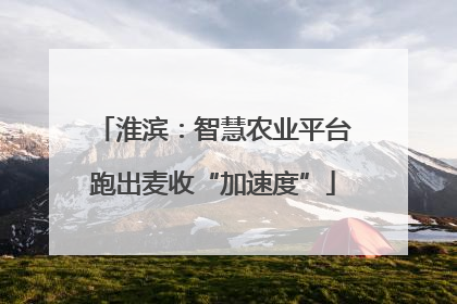 淮滨：智慧农业平台跑出麦收“加速度”