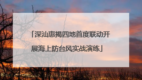 深汕惠揭四地首度联动开展海上防台风实战演练