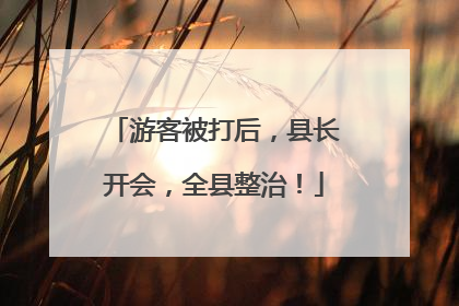 游客被打后，县长开会，全县整治！