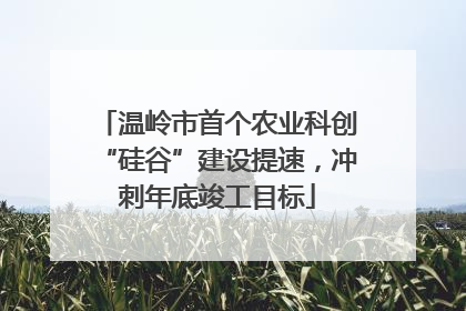 温岭市首个农业科创“硅谷”建设提速，冲刺年底竣工目标