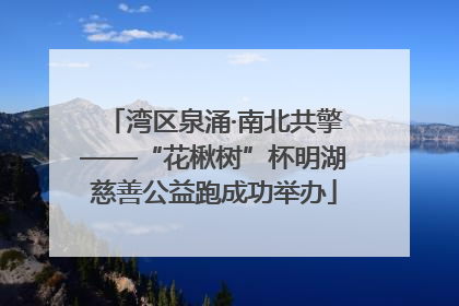湾区泉涌·南北共擎——“花楸树”杯明湖慈善公益跑成功举办
