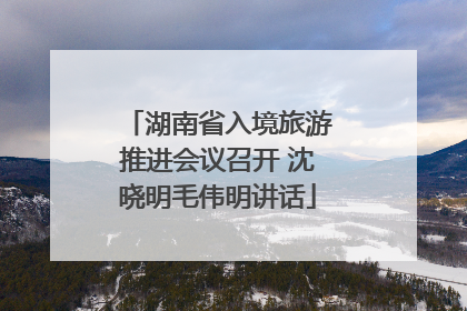 湖南省入境旅游推进会议召开 沈晓明毛伟明讲话