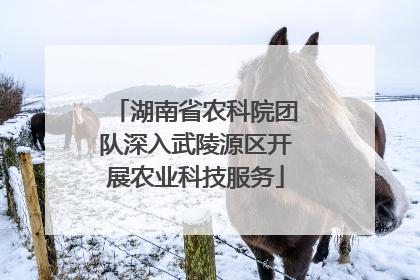 湖南省农科院团队深入武陵源区开展农业科技服务