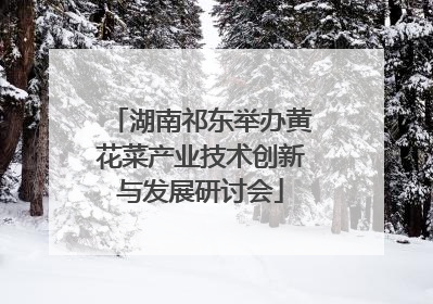 湖南祁东举办黄花菜产业技术创新与发展研讨会