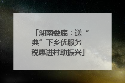 湖南娄底：送“典”下乡优服务 税惠进村助振兴