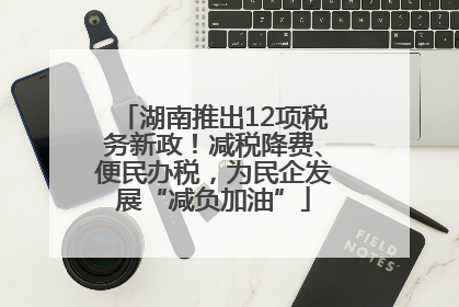湖南推出12项税务新政！减税降费、便民办税，为民企发展“减负加油”
