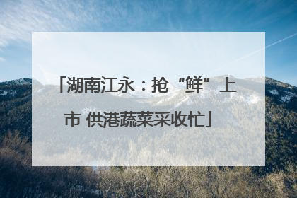湖南江永：抢“鲜”上市 供港蔬菜采收忙