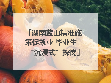 湖南蓝山精准施策促就业 毕业生“沉浸式”探岗
