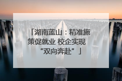 湖南蓝山：精准施策促就业 校企实现“双向奔赴”