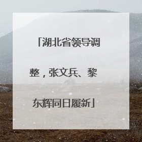 湖北省领导调整，张文兵、黎东辉同日履新