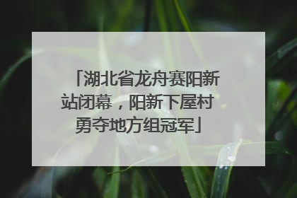 湖北省龙舟赛阳新站闭幕，阳新下屋村勇夺地方组冠军