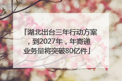 湖北出台三年行动方案，到2027年，年寄递业务量将突破80亿件