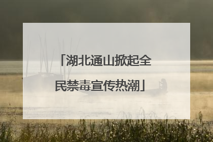 湖北通山掀起全民禁毒宣传热潮
