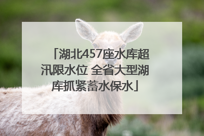 湖北457座水库超汛限水位 全省大型湖库抓紧蓄水保水