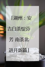 湖州：安吉白茶绽芬芳 南茶北进开新篇