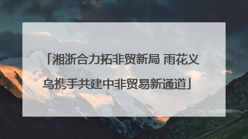 湘浙合力拓非贸新局 雨花义乌携手共建中非贸易新通道