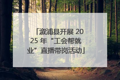 溆浦县开展 2025 年“工会帮就业”直播带岗活动