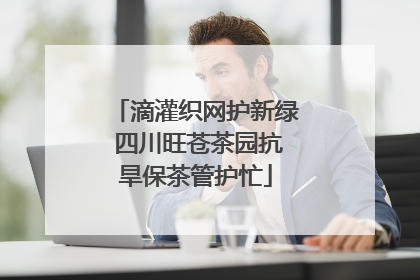 滴灌织网护新绿 四川旺苍茶园抗旱保茶管护忙