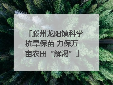 滕州龙阳镇科学抗旱保苗 力保万亩农田“解渴”