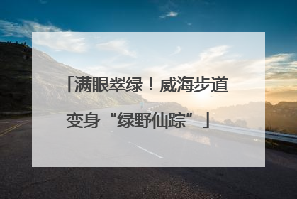 满眼翠绿！威海步道变身“绿野仙踪”