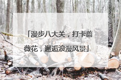 漫步八大关，打卡蔷薇花，邂逅浪漫风景