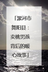 漯河市舞阳县：卖桃男孩背后的暖心故事