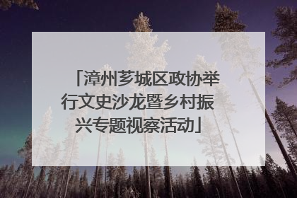 漳州芗城区政协举行文史沙龙暨乡村振兴专题视察活动