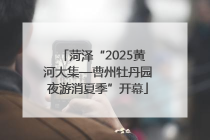 菏泽“2025黄河大集—曹州牡丹园夜游消夏季”开幕