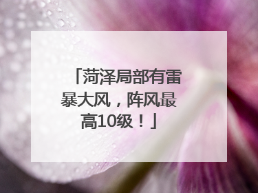 菏泽局部有雷暴大风，阵风最高10级！