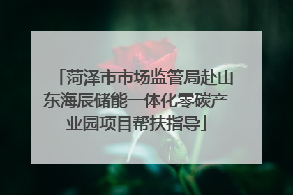 菏泽市市场监管局赴山东海辰储能一体化零碳产业园项目帮扶指导