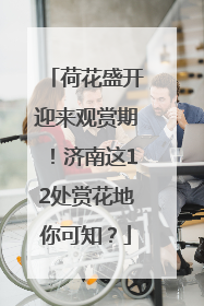 荷花盛开迎来观赏期！济南这12处赏花地你可知？