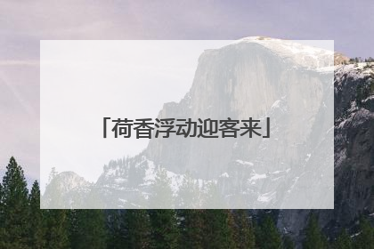 荷香浮动迎客来