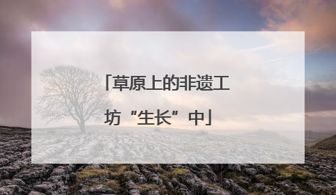 草原上的非遗工坊“生长”中