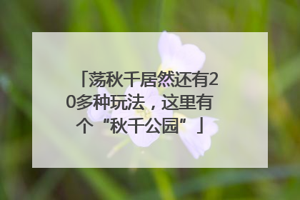 荡秋千居然还有20多种玩法，这里有个“秋千公园”