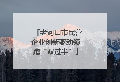 老河口市民营企业创新驱动领跑“双过半”
